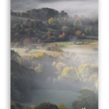 Autumn-scenery-with-mist-vertical