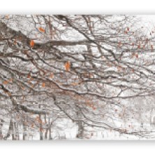 Beech-tree-branch-in-winter_2